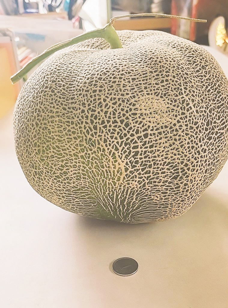 でっっっけえメロン