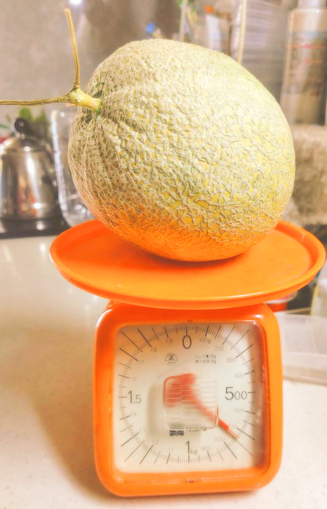 計量してるメロン