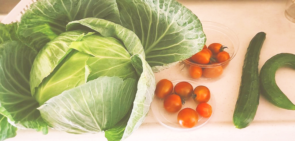 キャベツとトマト