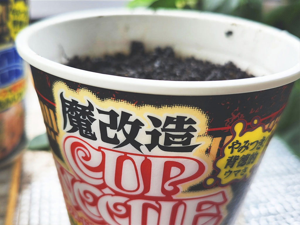 カップ麺の容器に土を入れた画像
