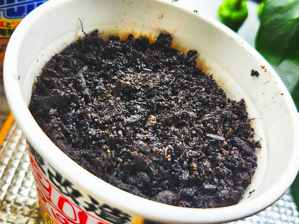 カップ麺の内側の線ぐらいまで土を入れた画像