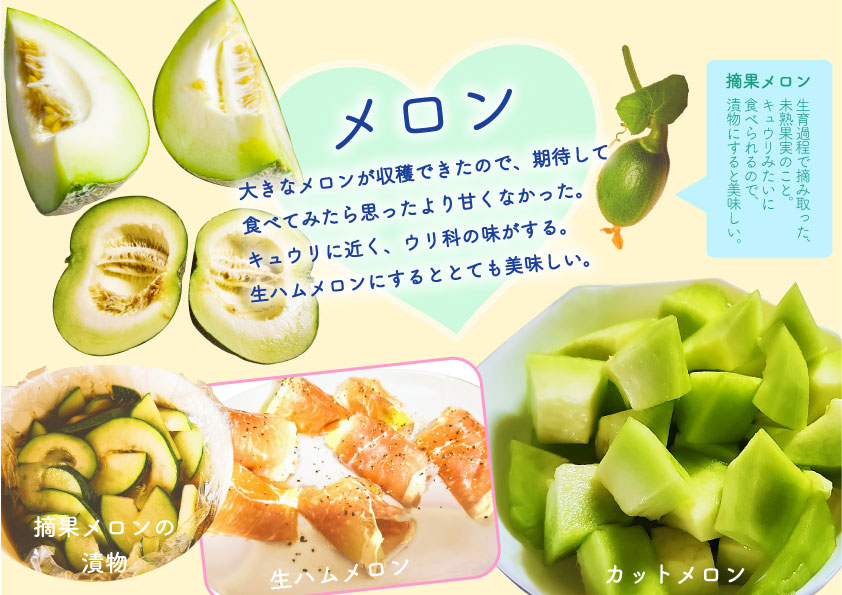 メロンのいろいろな料理