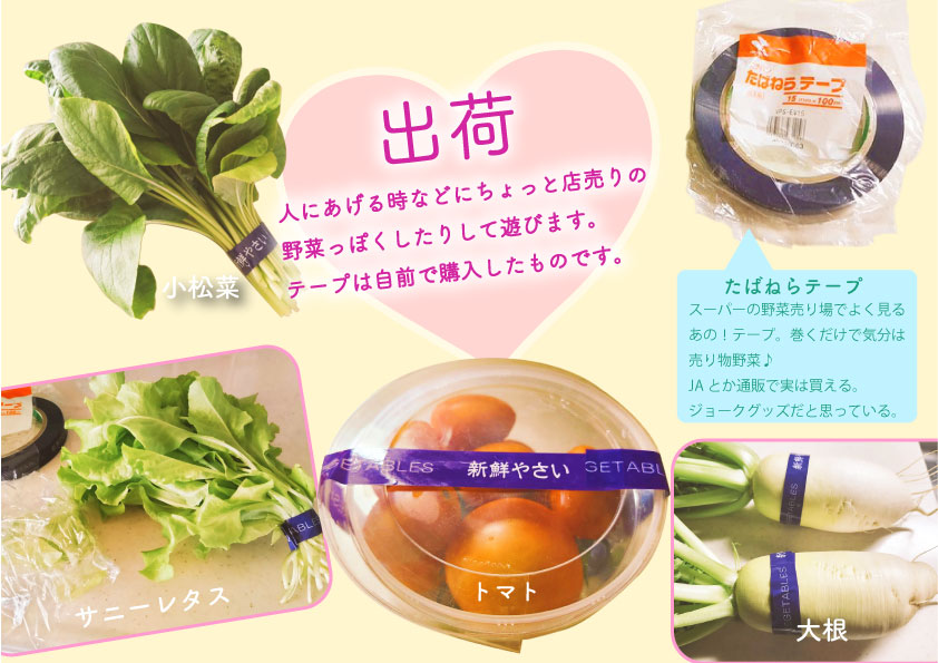 店売りの野菜みたいにテープ巻いてある野菜