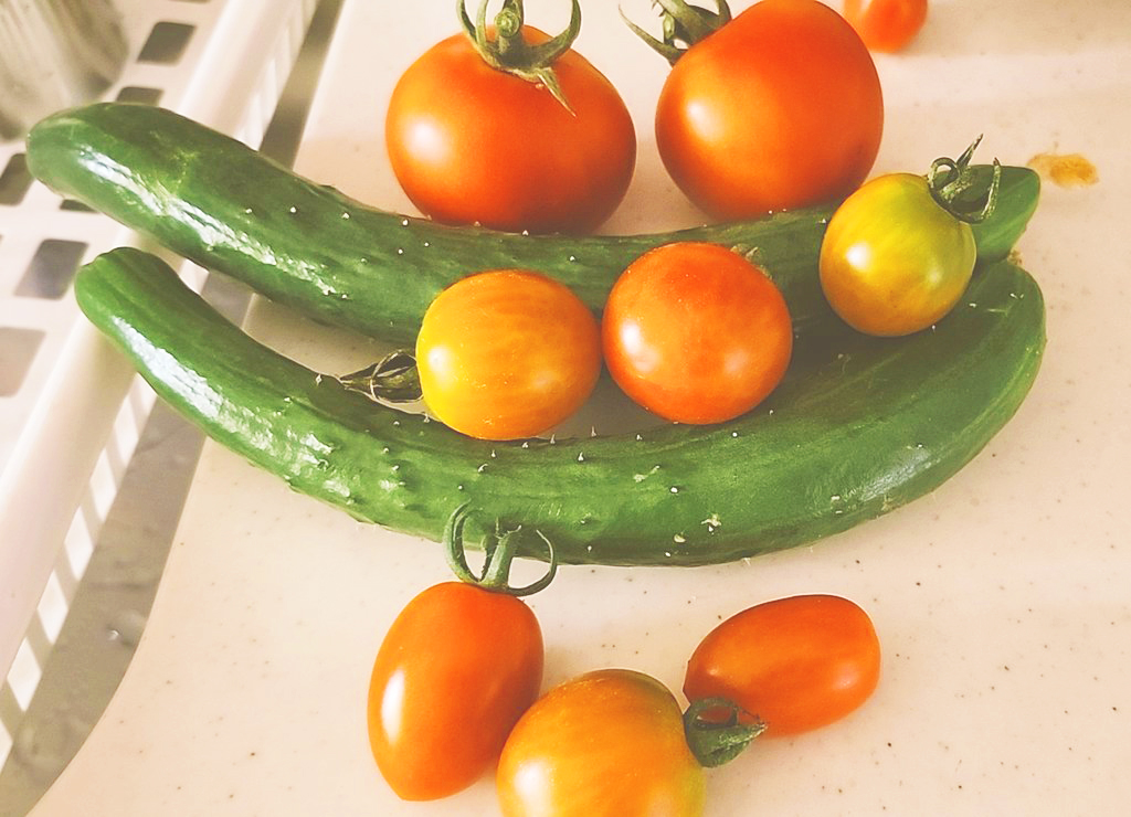 トマトときゅうり